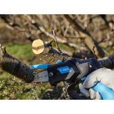 Potatore elettrico Campagnola T-Rex con batteria plug-in: il tagliaerba potente e pratico
