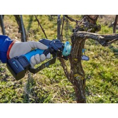Potatore elettrico Campagnola T-Rex con batteria plug-in: il tagliaerba potente e pratico