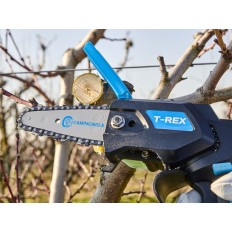 Potatore elettrico Campagnola T-Rex con batteria plug-in: il tagliaerba potente e pratico