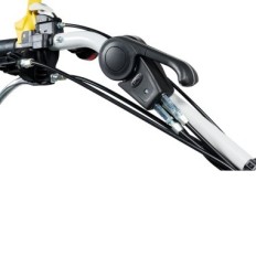 Trinciaerba EFCO DR 100 con Motore HONDA GX390 ALPIN HIE