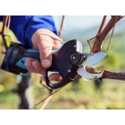 forbice elettronica STARK M