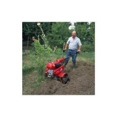 Motozappa HONDA F 560 con Fresa Standard in Offerta