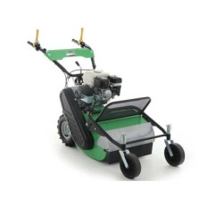 Trinciaerba MGM Lampacrescia TTR 560 con Motore HONDA