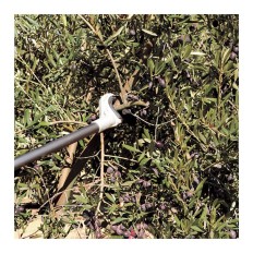 Scuotitore per Olive Stihl SP 452 ASTA 186 CM