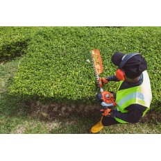 HCS-3210ES tagliasiepi monolama - Echo Italia