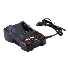 Tagliasiepi a batteria DHC-310 40v - Echo Italia