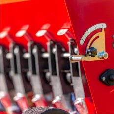 PROFESSIONAL Del Morino