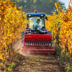 PROFESSIONAL Del Morino