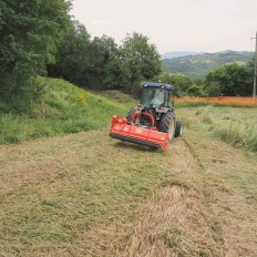Trinciatrice Laterale CENTURION SUPER Del Morino - Potenza e Precisione