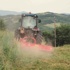 Trinciatrice Laterale CENTURION SUPER Del Morino - Potenza e Precisione