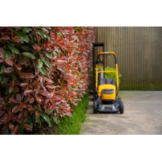 Collector 48 S AE Kit