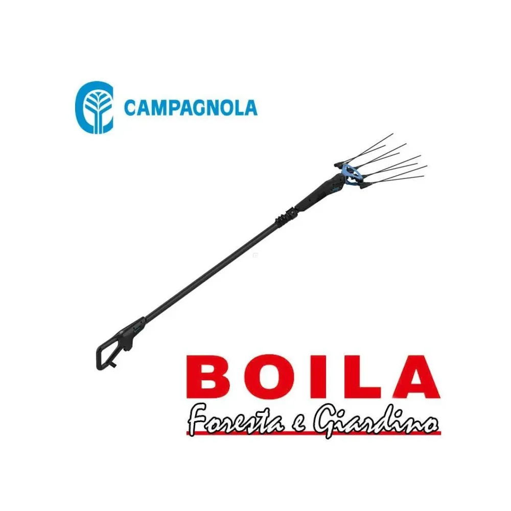 Abbacchiatore campagnola master con asta 185/270 in carbonio e alluminio