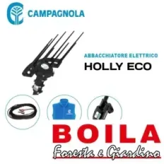 Kit raccolta elettrico: abbacchiatore Campagnola Holly Eco – Massimizza la visibilità sui motori di ricerca con un titolo SEO ot
